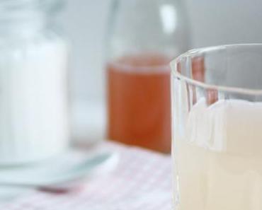 Rhabarber Sirup - süss säuerlicher Frühling