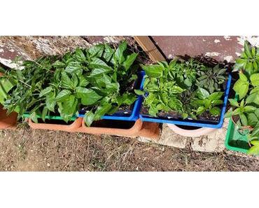 Kleines Update 03.04.2016