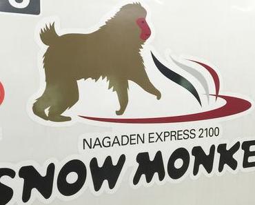 Travel Diary Yudanaka Snow Monkey Park + Shibu Onsen