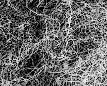 Achtung Virenwarnung im Lebens-Lauf „Sorgsahm und Zweifeld“