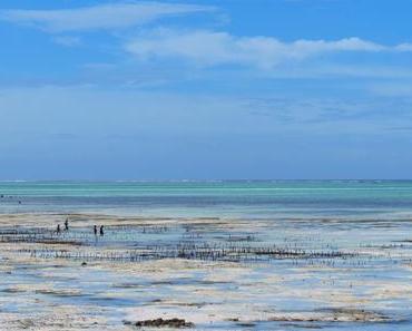 #4 mal wieder eine Predigt über LuxusproblemeIch war zehn...