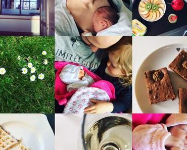 Gelesen, gesehen, gemacht, gebloggt im April