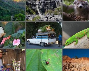 Die 10 Top Attraktionen von Madagaskar