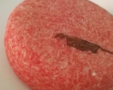 | Lush New Shampoo Bar