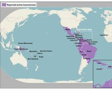 Zikavirus: Von Mückenschutz und Kondomen
