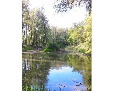 Ein Lebenszeichen ...