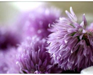 Schnittlauchblütenbutter selbermachen: Würzige Blüten auf’s Brot