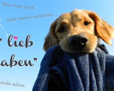 Alle Zeichen auf Sturm