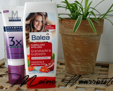 Meine aktuelle Haarroutine