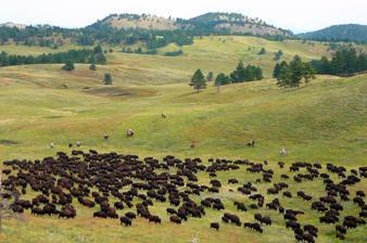 State Parks - Die kleinen Geschwister der Nationalparks