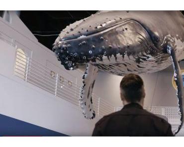 Und was macht dein Papa beruflich? Er baut Wale!