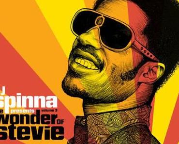 DJ SPINNA – The Wonder Of Stevie Vol. 3 // Promo Mix
