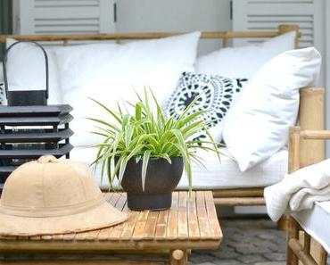 Urban Jungle Bloggers: 1 Plant - 3 Stylings