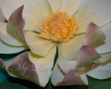 Bitte ein Baby, aber ohne kitschig