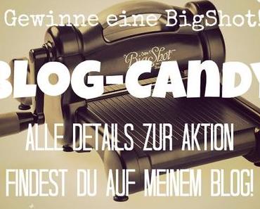 BlogCandy: Gewinne eine BigShot!!!