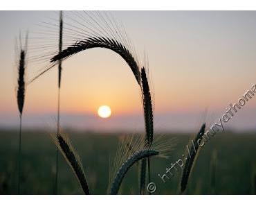 Cinny in Hamburg - Teil 3