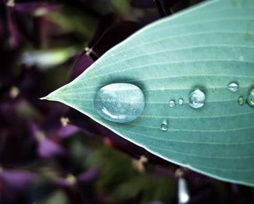 Leben | Sommer, wo bist du?
