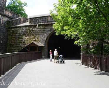 Durchs Tiergärtnertor in die Altstadt