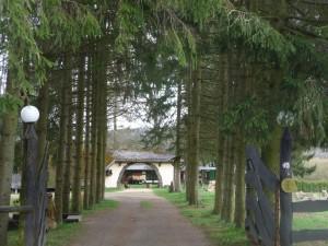 Schwitzhüttenzeremonie: Wenn die Seele heilen will