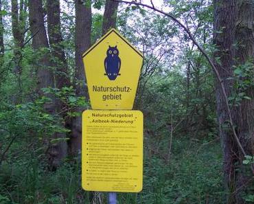 Erlebt in der Natur #8 Der Hemmelsdorfer See 1/3