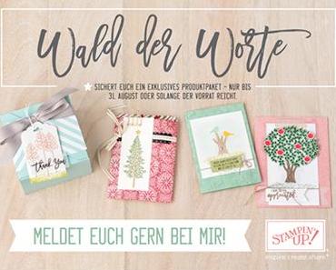 Nicht immer nur Karten!!! Und 2 neue Stempelsets im August!!!