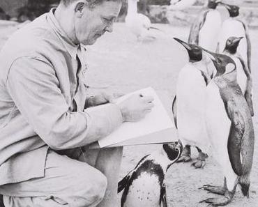 SUNDAY INSPIRATION No.60