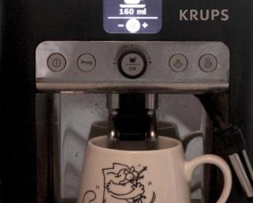 12 von 12 – August 2016 #4