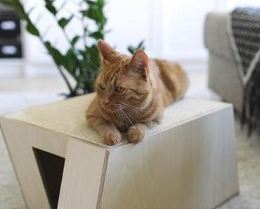 Domo Katzenhöhle von Mikoro