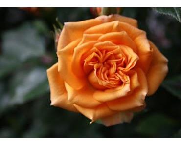 Tu etwas für Dein Gesicht!