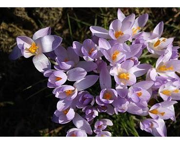 Neue Geschichten und Texte sind jederzeit herzlich willkommen!!!