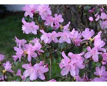 Das Sorgen hat noch nie ein konkretes Problem gelöst!