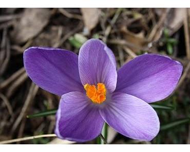 Der Weg zum Erfolg ist mit Misserfolgen und Erfahrungen gepflastert