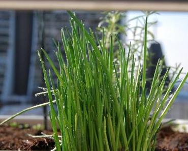 ... und wir haben eine Siegerin!!!