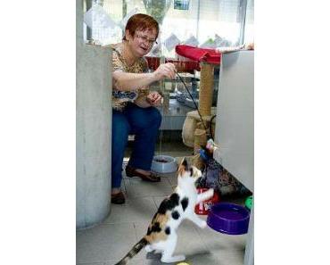 Tierheim Berlin: Streichelpaten gesucht