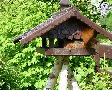 Gleiches ist nicht unbedingt gleich - werde kreativ und denke in eine neue Richtung