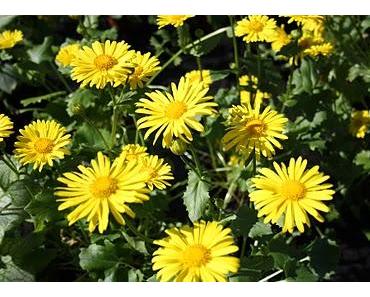 Über den richtigen Umgang mit der Angst