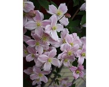 Durst nach Antworten - den haben wir alle!