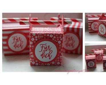 Lunchbox in melonensorbet