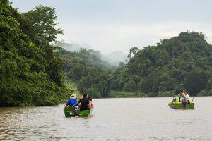 Kinabatangan – Auf Fluss-Safari durch den östlichen Dschungel Borneos
