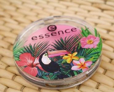 [Haul & Swatch] essence "exit to explore" Limited Edition