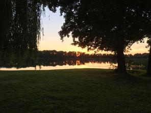 Goldener Altfriedländer Klostersee