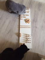 DIY-Fummelbrett aus Holz || Katzenspielzeug selber machen
