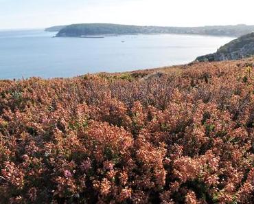 Traveling: Morgat 2016 Part I