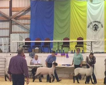 Was ist eine County Fair bzw. State Fair?