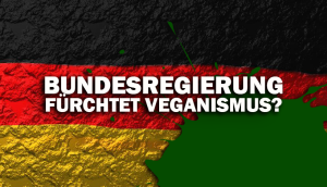 lächerlich!!  …und mal wieder Nüdelkes