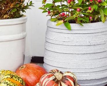 Herbstliche Inspirationen
