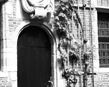 Fotografie | SchwarzWeissBlick No 31