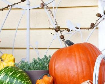 Kürbisse ... auf meiner Veranda ... schon richtig herbstlich ... und viele Dekoideen für euch