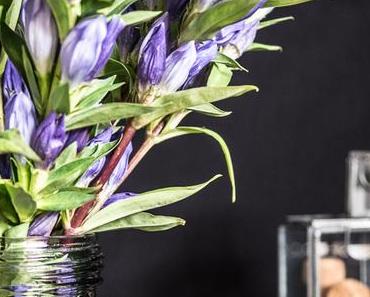 Flowers | Mal wieder was Blaues in der Vase: Enzian!