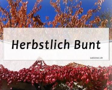 Herbstlich bunte und vor allen Dingen Coole Blogbeiträge #39